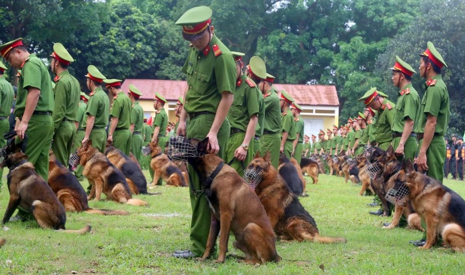 Chó đặc nhiệm: “Cánh tay đắc lực” của lực lượng an ninh, bảo vệ