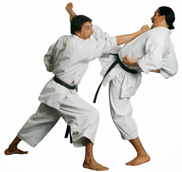 1 trong những nhóm tư thế cơ bản nhất 